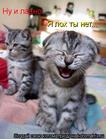 Я лох ты нет... Ну и ладно... Котоматрица: Я лох ты нет... Ну и ладно
