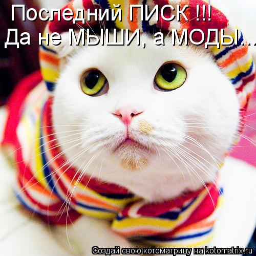 Последний ПИСК !!! Да не МЫШИ, а МОДЫ...... Котоматрица: Последний ПИСК !!! Да не МЫШИ, а МОДЫ...