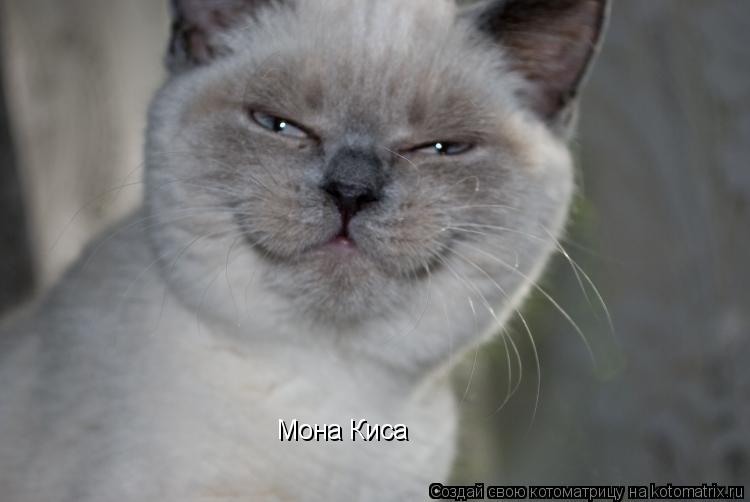 Котоматрица: Мона Киса