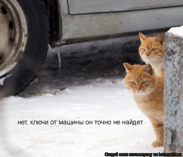 нет, ключи от машины он точно не найдет... Котоматрица: нет, ключи от машины он точно не найдет