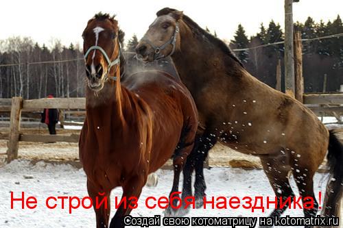 Не строй из себя наездника!... Котоматрица: Не строй из себя наездника!