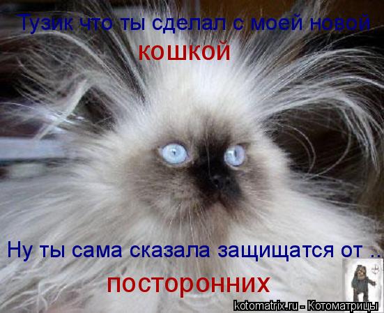 Котоматрица: Ну ты сама сказала защищатся от ... Тузик что ты сделал с моей новой кошкой посторонних