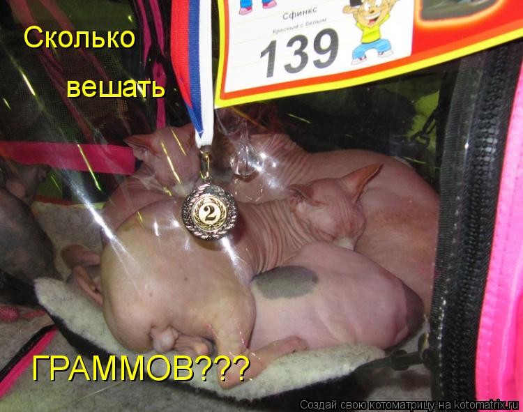 Котоматрица: Сколько вешать ГРАММОВ???