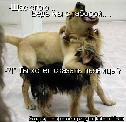 -Щас спою... Ведь мы с табооой.... -?!" Ты хотел сказать,пьяницы?... Котоматрица: -Щас спою... Ведь мы с табооой.... -?!" Ты хотел сказать,пьяницы?