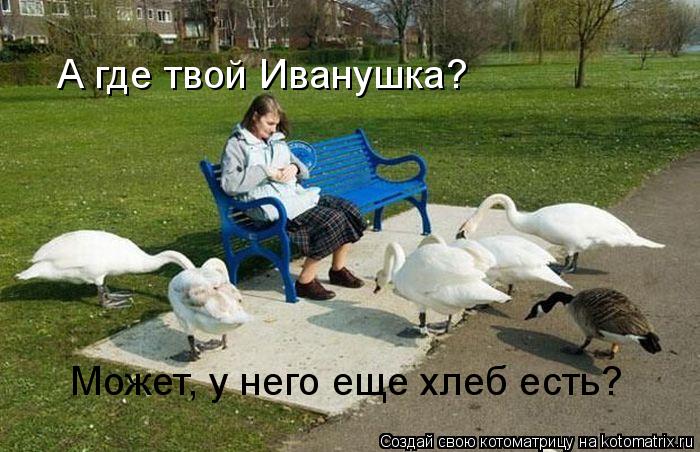А где твой Иванушка? Может, у него еще хлеб есть?... Котоматрица: А где твой Иванушка? Может, у него еще хлеб есть?