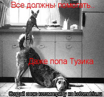 Все должны помогать...Даже попа дворового Тузика Все должны помогать.. Даже попа Тузика... Котоматрица: Все должны помогать...Даже попа дворового Тузика Все должны помогать.. Даже попа Тузика
