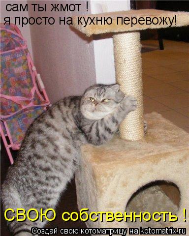 Котоматрица: сам ты жмот ! я просто на кухню перевожу! СВОЮ собственность !