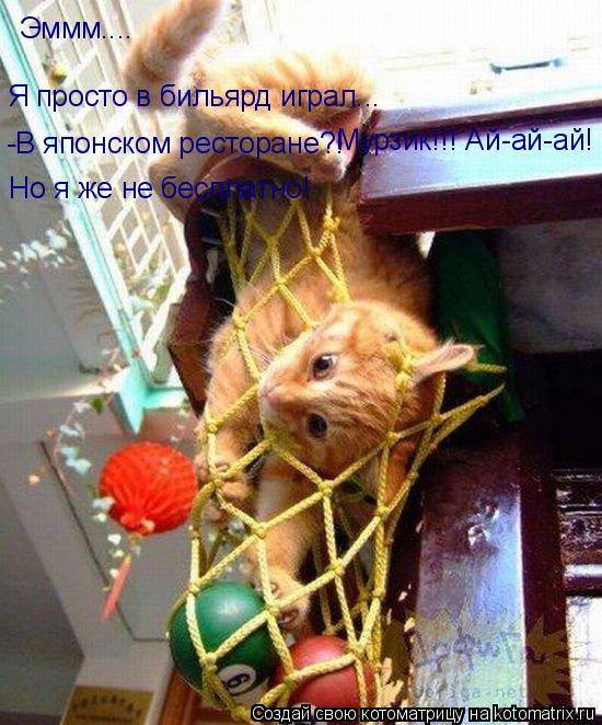 Эммм.... Я просто в бильярд играл... -В японском ресторане?! Мурзик!!! Ай-ай-ай! Но я же не бесплатно... Котоматрица: Эммм.... Я просто в бильярд играл... -В японском ресторане?! Мурзик!!! Ай-ай-ай! Но я же не бесплатно!