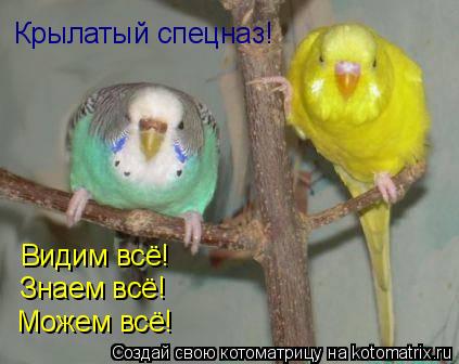 Крылатый спецназ! Видим всё! Знаем всё! Можем всё!... Котоматрица: Крылатый спецназ! Видим всё! Знаем всё! Можем всё!