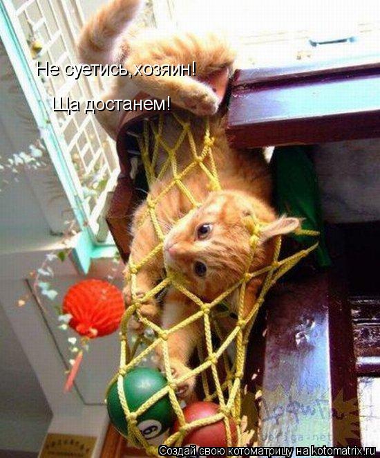 Не суетись,хозяин! Ща достанем!... Котоматрица: Не суетись,хозяин! Ща достанем!