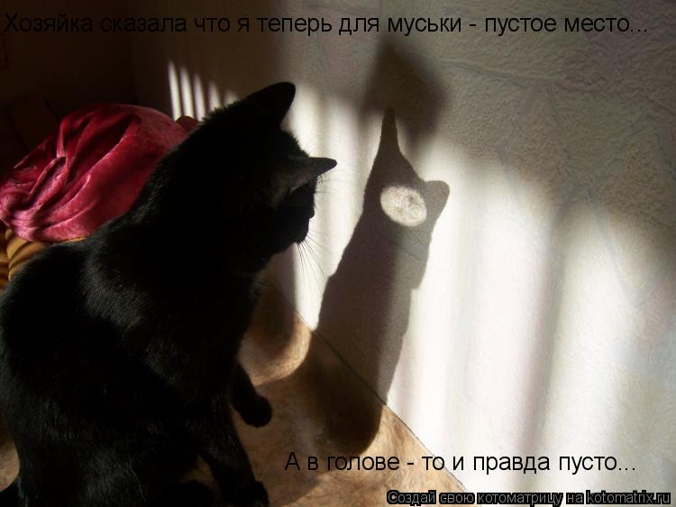 Котоматрица: Хозяйка сказала что я теперь для муськи - пустое место... А в голове - то и правда пусто...