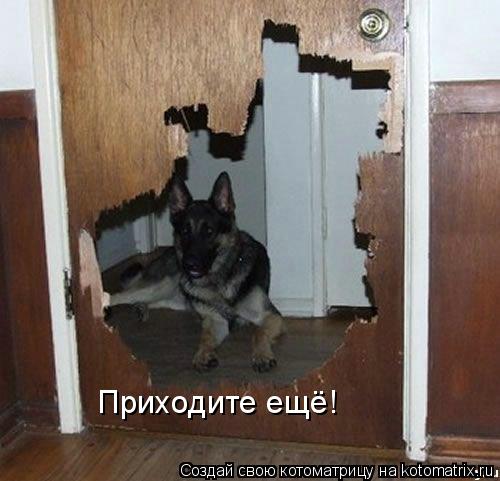 Приходите ещё!... Котоматрица: Приходите ещё!