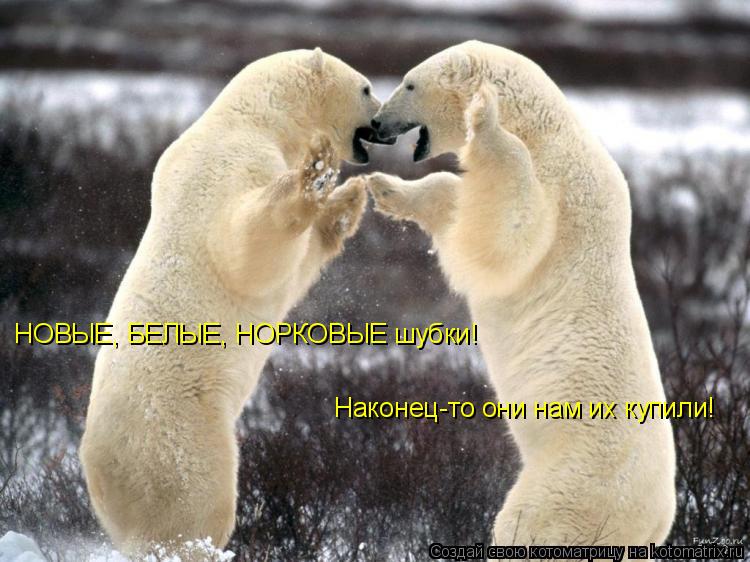 НОВЫЕ, БЕЛЫЕ, НОРКОВЫЕ шубки! Наконец-то они нам их купили!... Котоматрица: НОВЫЕ, БЕЛЫЕ, НОРКОВЫЕ шубки! Наконец-то они нам их купили!