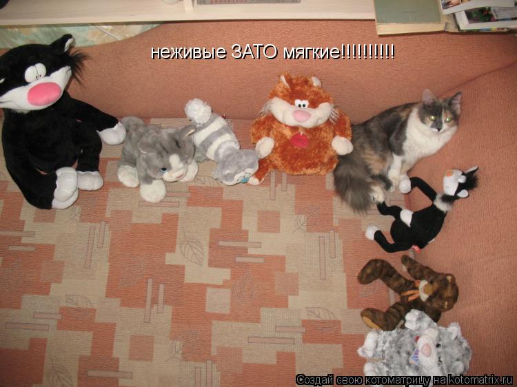 Котоматрица: неживые ЗАТО мягкие!!!!!!!!!!