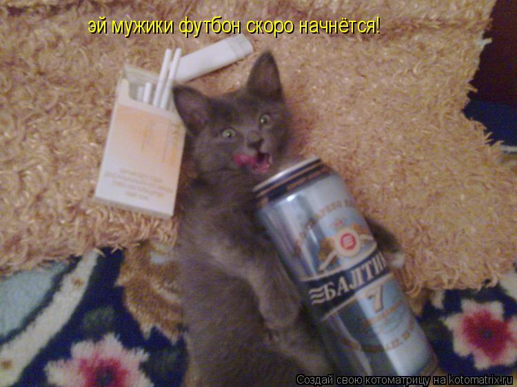 Котоматрица: эй мужики футбон скоро начнётся!