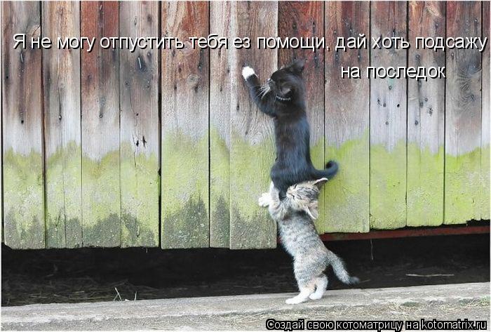 Котоматрица: Я не могу отпустить тебя ез помощи, дай хоть подсажу  на последок