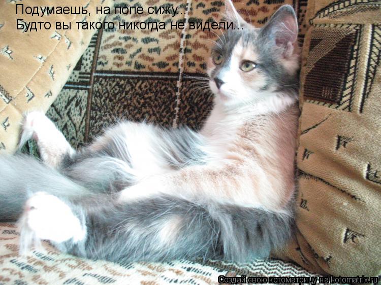 Котоматрица: Подумаешь, на попе сижу... Будто вы такого никогда не видели...