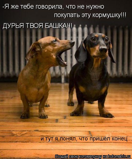 Котоматрица: -Я же тебе говорила, что не нужно  покупать эту кормушку!!! ДУРЬЯ ТВОЯ БАШКА!!! и тут я понял, что пришёл конец...