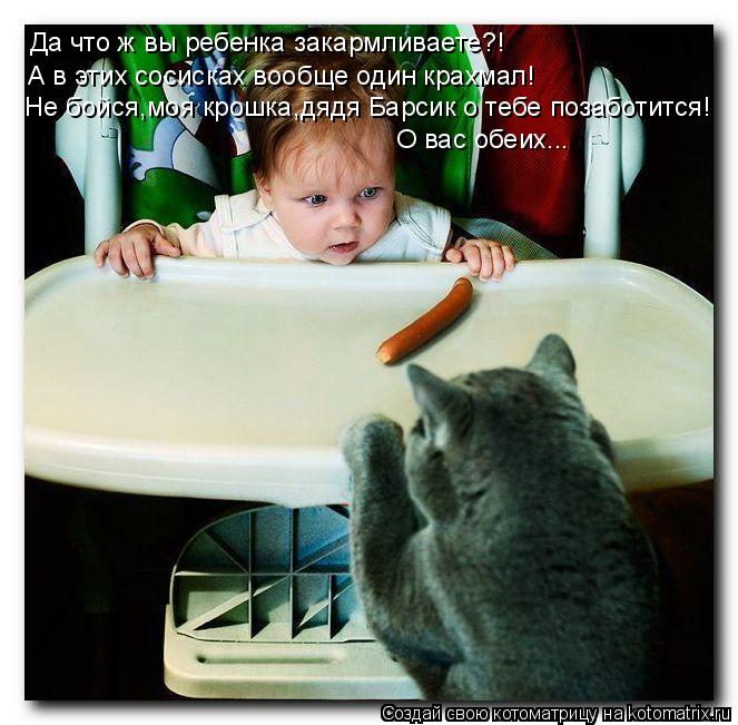 Котоматрица: Да что ж вы ребенка закармливаете?! А в ?! А в этих сосисках вообще один крахмал! Не бойся,моя крошка,дядя Барсик о тебе позаботится! О вас обеи