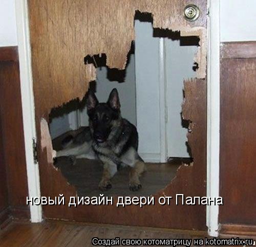 Котоматрица: новый дизайн двери от Палана