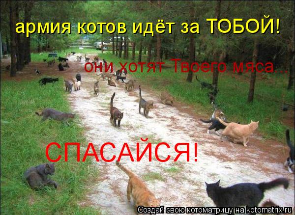 Котоматрица: армия котов идёт за ТОБОЙ! они хотят Твоего мяса... СПАСАЙСЯ!