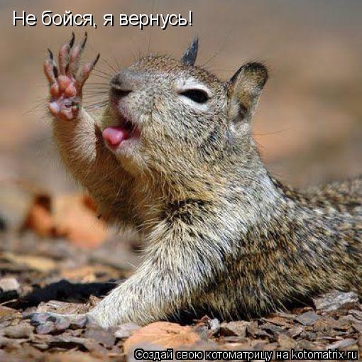 Котоматрица: Не бойся, я вернусь!