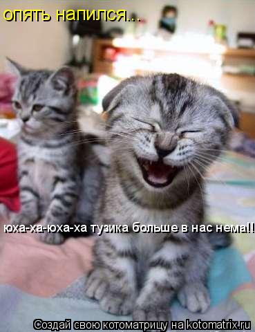 Котоматрица: опять напился... юха-ха-юха-ха тузика больше в нас нема!!!