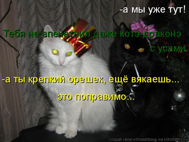 Котоматрица: -а мы уже тут! -а ты крепкий орешек, ещё вякаешь... это поправимо... Тебя не впечатлил даже котэ-драконэ с усами...