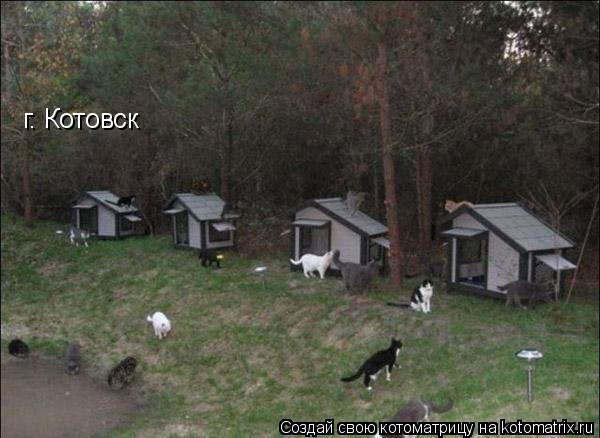 г. Котовск... Котоматрица: г. Котовск