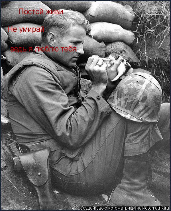 Постой живи Не умирай ведь я люблю тебя... Котоматрица: Постой живи Не умирай ведь я люблю тебя