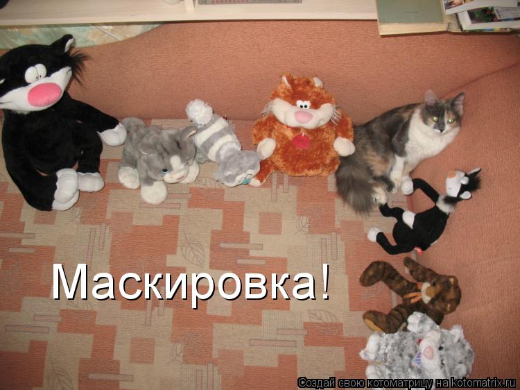 Маскировка!... Котоматрица: Маскировка!