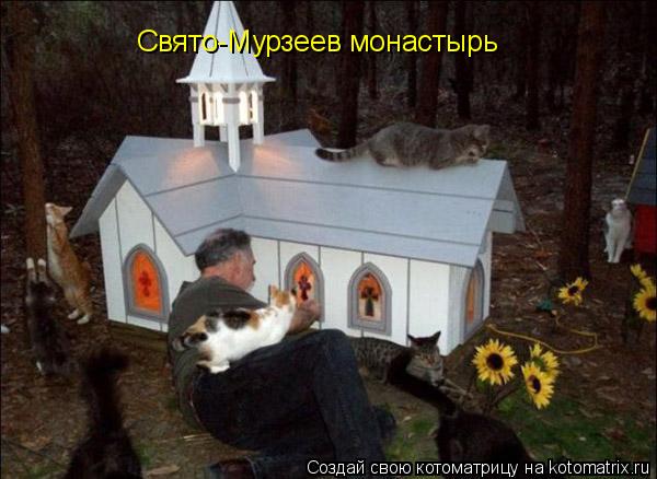 Свято-Мурзеев монастырь... Котоматрица: Свято-Мурзеев монастырь