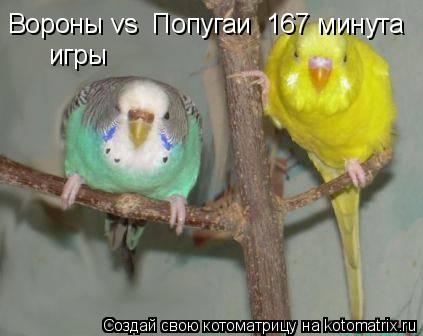 Вороны vs Попугаи 167 минута игры... Котоматрица: Вороны vs Попугаи 167 минута игры