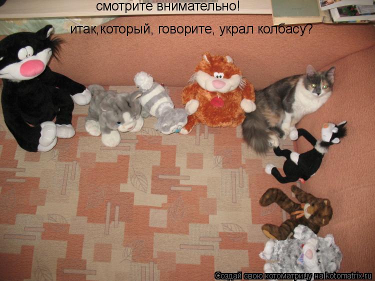 Котоматрица: смотрите внимательно!  итак,который, говорите, украл колбасу?
