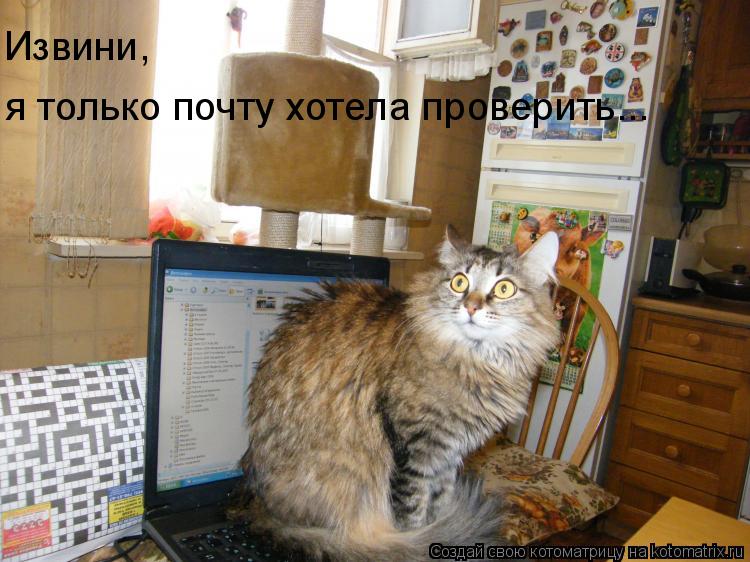 Извини, я только почту хотела проверить...... Котоматрица: Извини, я только почту хотела проверить...