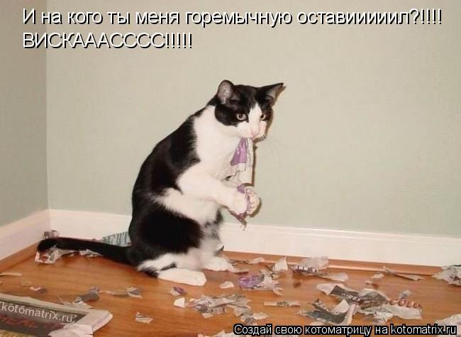 И на кого ты меня горемычную оставииииил?!!!! ВИСКАААСССС!!!!!... Котоматрица: И на кого ты меня горемычную оставииииил?!!!! ВИСКАААСССС!!!!!