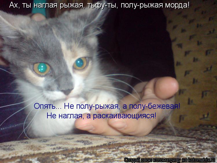 Ах, ты наглая рыжая, тьфу-ты, полу-рыжая морда! Опять... Не полу-рыжая, а полу-бежевая! Не наглая, а ... Котоматрица: Ах, ты наглая рыжая, тьфу-ты, полу-рыжая морда! Опять... Не полу-рыжая, а полу-бежевая! Не наглая, а раскаивающияся!