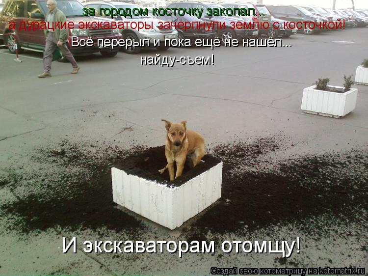 Котоматрица: за городом косточку закопал... а дурацкие экскаваторы зачерпнули землю с косточкой! Всё перерыл и пока ещё не нашёл...  найду-съем!        И экска