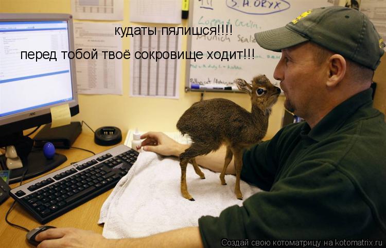 Котоматрица: кудаты пялишся!!!! перед тобой твоё сокровище ходит!!!