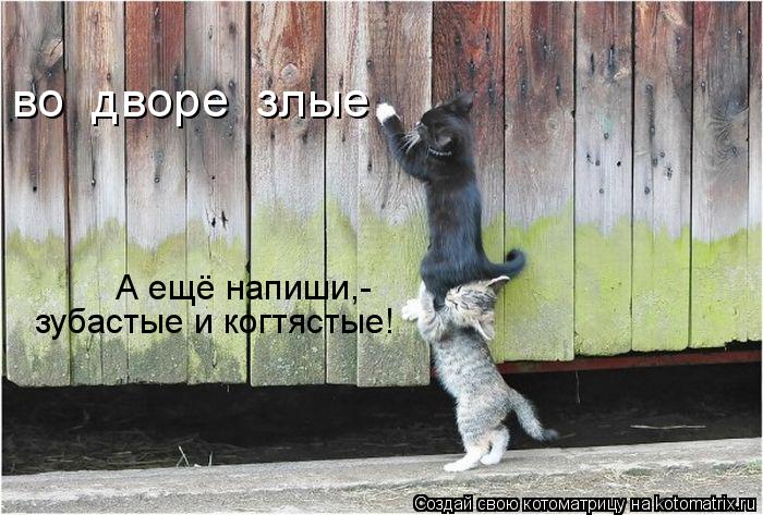во дворе злые А ещё напиши,- зубастые и когтястые!... Котоматрица: во дворе злые А ещё напиши,- зубастые и когтястые!