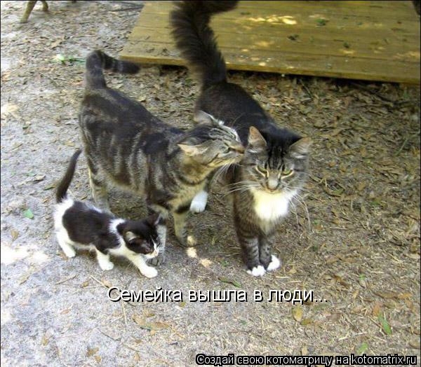 Семейка вышла в люди...... Котоматрица: Семейка вышла в люди...