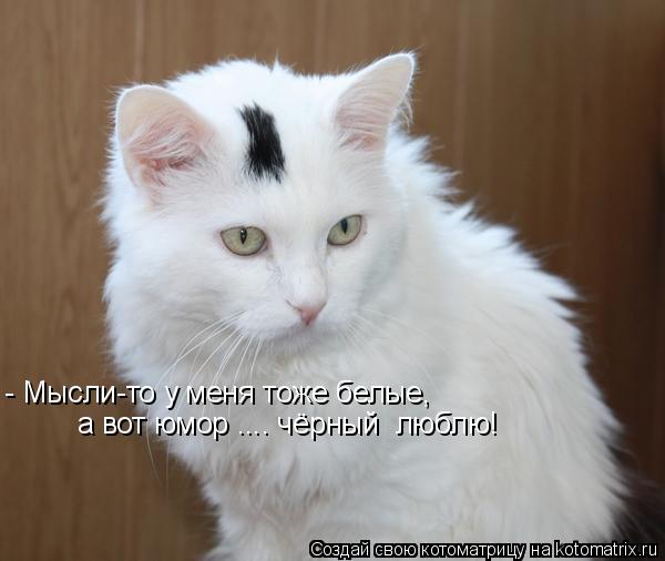 Котоматрица: - Мысли-то у меня тоже белые, а вот юмор .... чёрный  люблю!