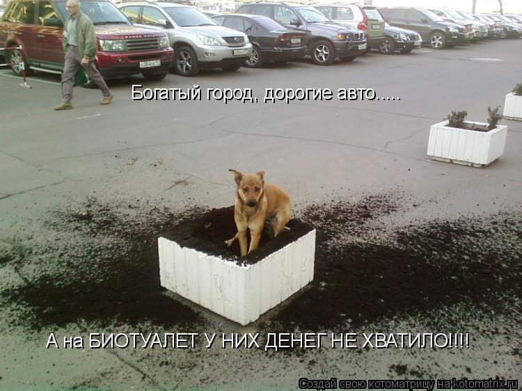 Богатый город, дорогие авто..... А на БИОТУАЛЕТ У НИХ ДЕНЕГ НЕ ХВАТИЛО!!!!... Котоматрица: Богатый город, дорогие авто..... А на БИОТУАЛЕТ У НИХ ДЕНЕГ НЕ ХВАТИЛО!!!!