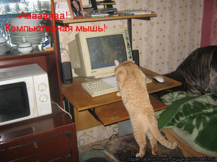 -Аааааааа! -Аааааааа! Компьютерная мышь!... Котоматрица: -Аааааааа! -Аааааааа! Компьютерная мышь!