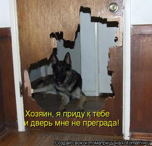 Котоматрица: Хозяин, я приду к тебе и дверь мне не преграда!