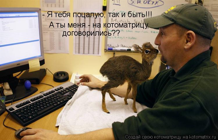 А ты меня - на котоматрицу, - Я тебя поцалую, так и быть!!! договорились??... Котоматрица: А ты меня - на котоматрицу, - Я тебя поцалую, так и быть!!! договорились??