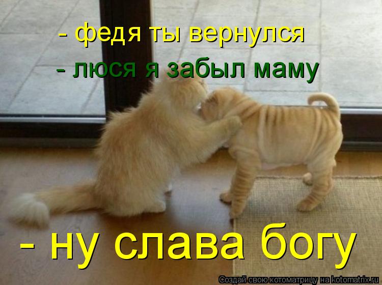 - федя ты вернулся - люся я забыл маму - ну слава богу... Котоматрица: - федя ты вернулся - люся я забыл маму - ну слава богу