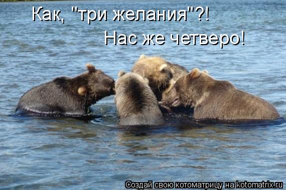 Котоматрица: Как, "три желания"?! Нас же четверо!