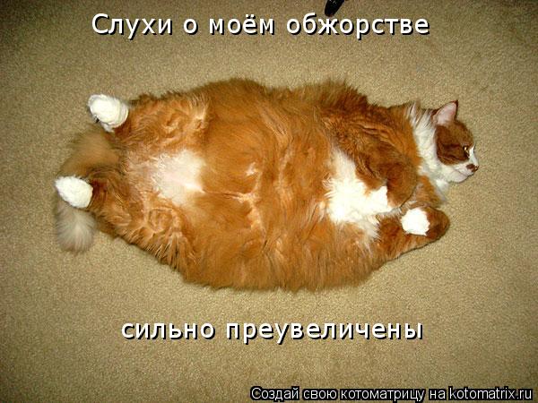 Котоматрица: Слухи о моём обжорстве сильно преувеличены