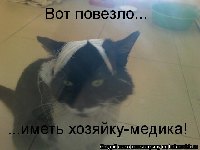 Вот повезло... ...иметь хозяйку-медика!... Котоматрица: Вот повезло... ...иметь хозяйку-медика!